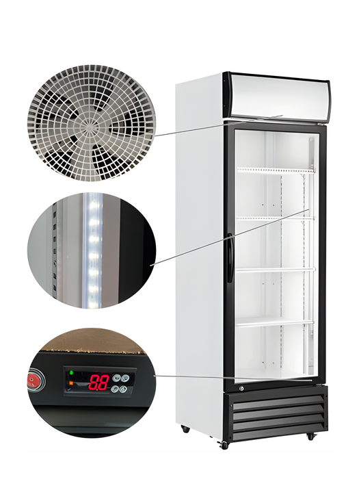 Coolasonic P238WA Single Door 21" Wide Display Refrigerator