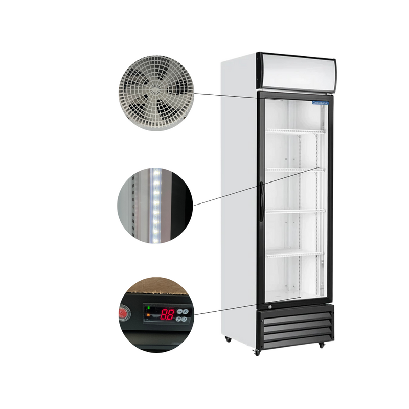 Interior shelves of Coolasonic P430WA commercial display fridge with LED lighting