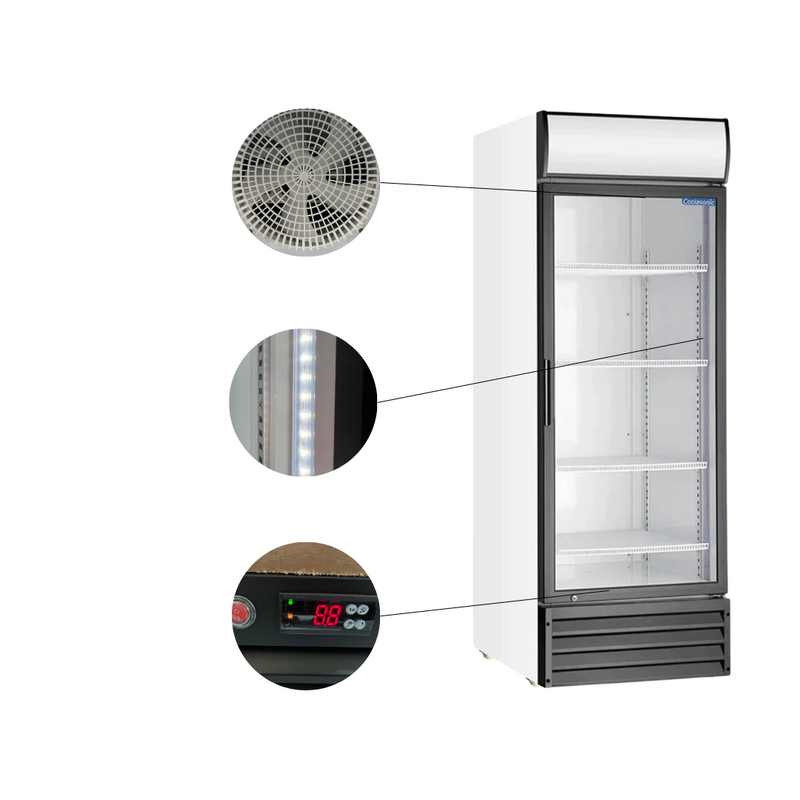 Coolasonic P600WB Single Door 28" Wide Display Refrigerator