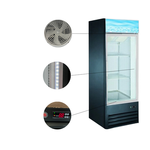 Canco MF-240 26.5" Single Door Display Freezer