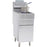Canco Double Basket Fryer 50-55 lbs GF-120T with Two Compartments (120,000 BTU) - Natural Gas