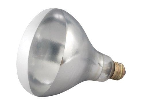 Winco Replacement Bulb for EHL-2, 250W, 2.1A, Clear - Omni Food Equipment